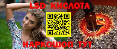 скорость Бийск