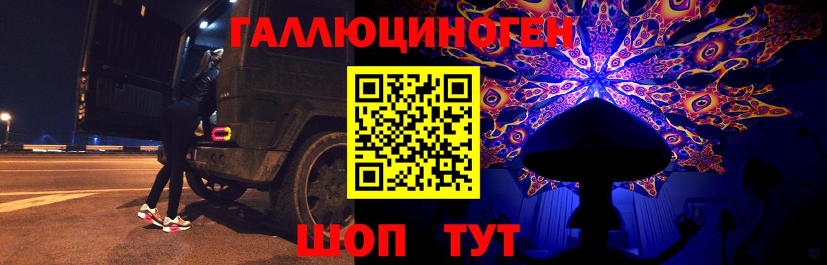 Псилоцибиновые грибы Cubensis Елец