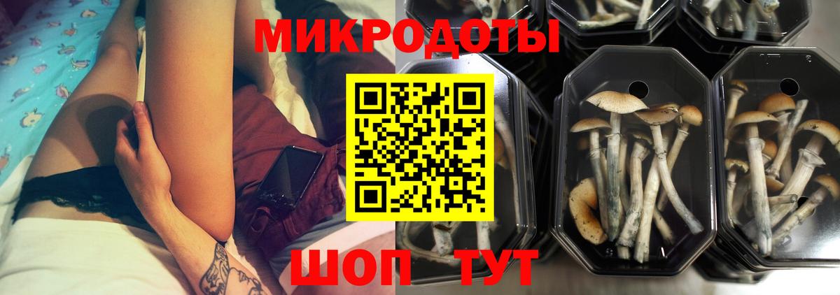 Псилоцибиновые грибы Cubensis  Псилоцибиновые грибы мухоморы  Елец  Вход с VPN 